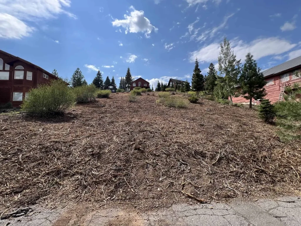 land clearing in Truckee