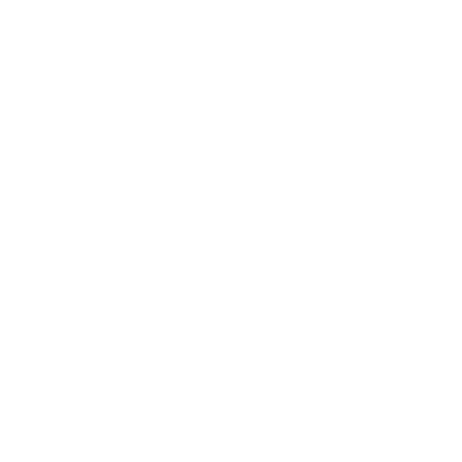 google white logo