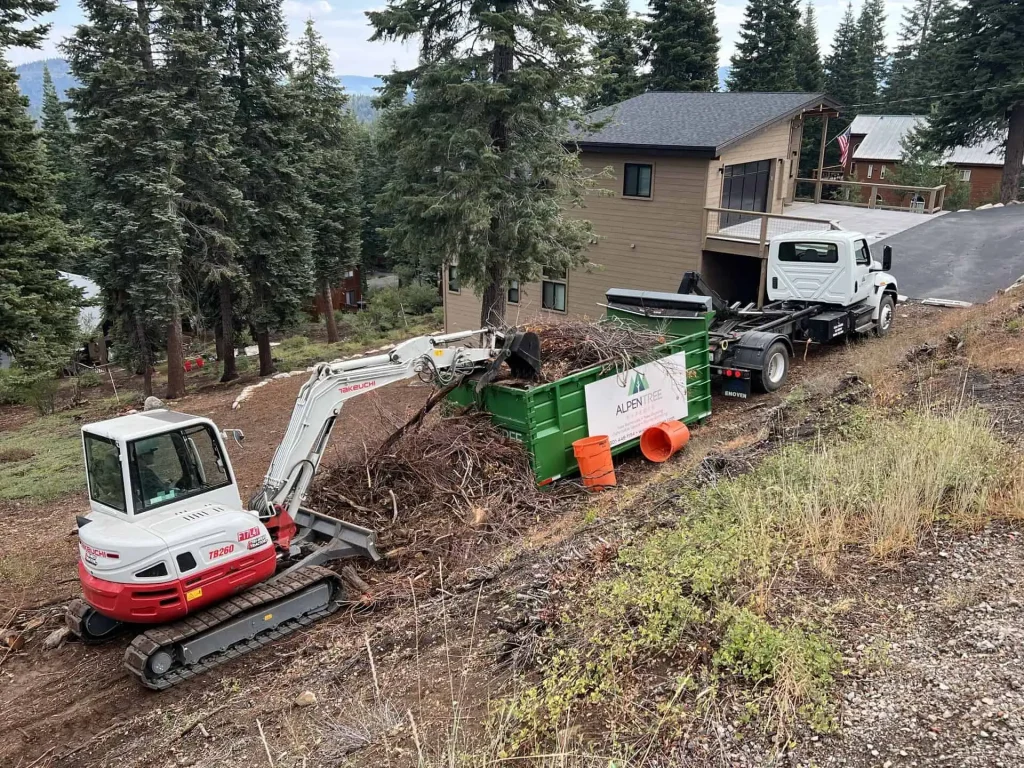 excavator loading tree debris. clearing defensible space. tree removal and trimming