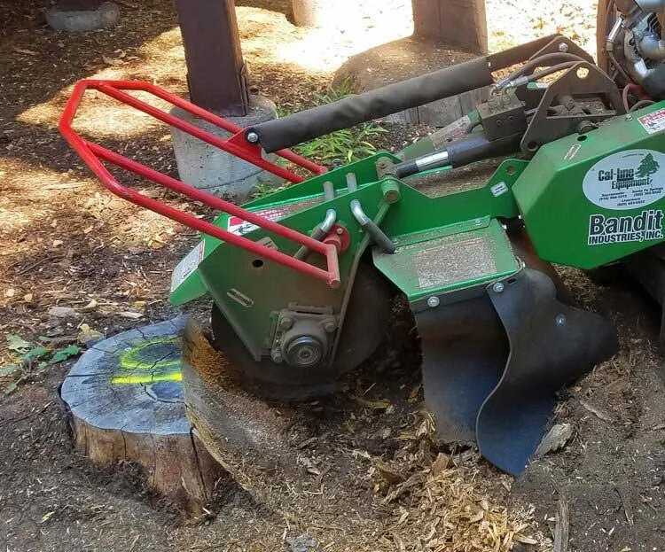 stump grinding service in Truckee Tahoe region. stump grinding machine