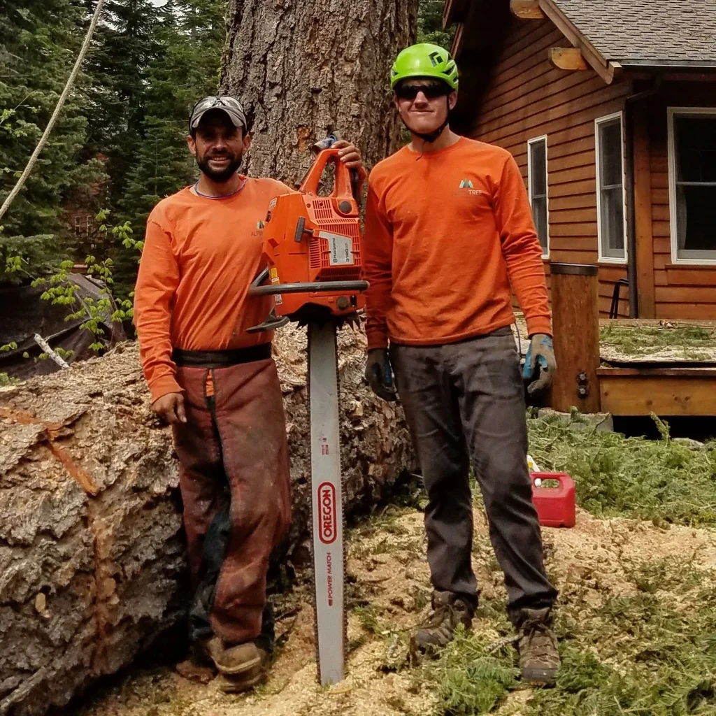 tree service team. professional tree service experts in Truckee. tree service careers